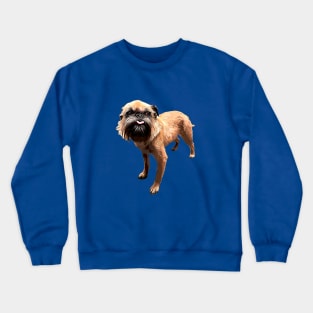 Brussels Griffon Cuteness! Briffon bruxellois Crewneck Sweatshirt